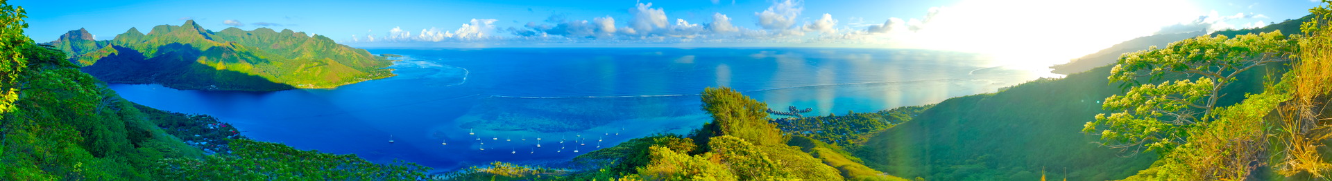 Endlich in der Südsee!