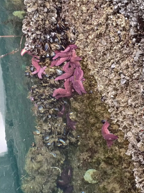 Galicien_20190918_125911