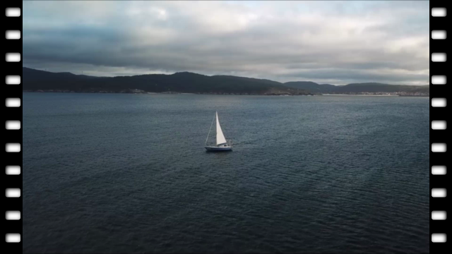 Gentoo-vor-Corme.webm