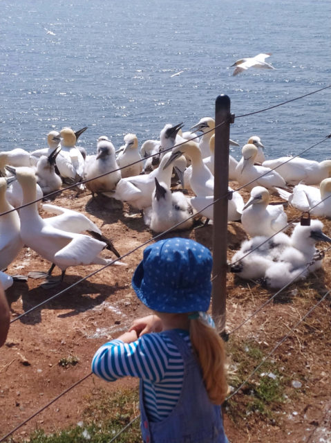 Helgoland-Ramsgate_20190801_141105